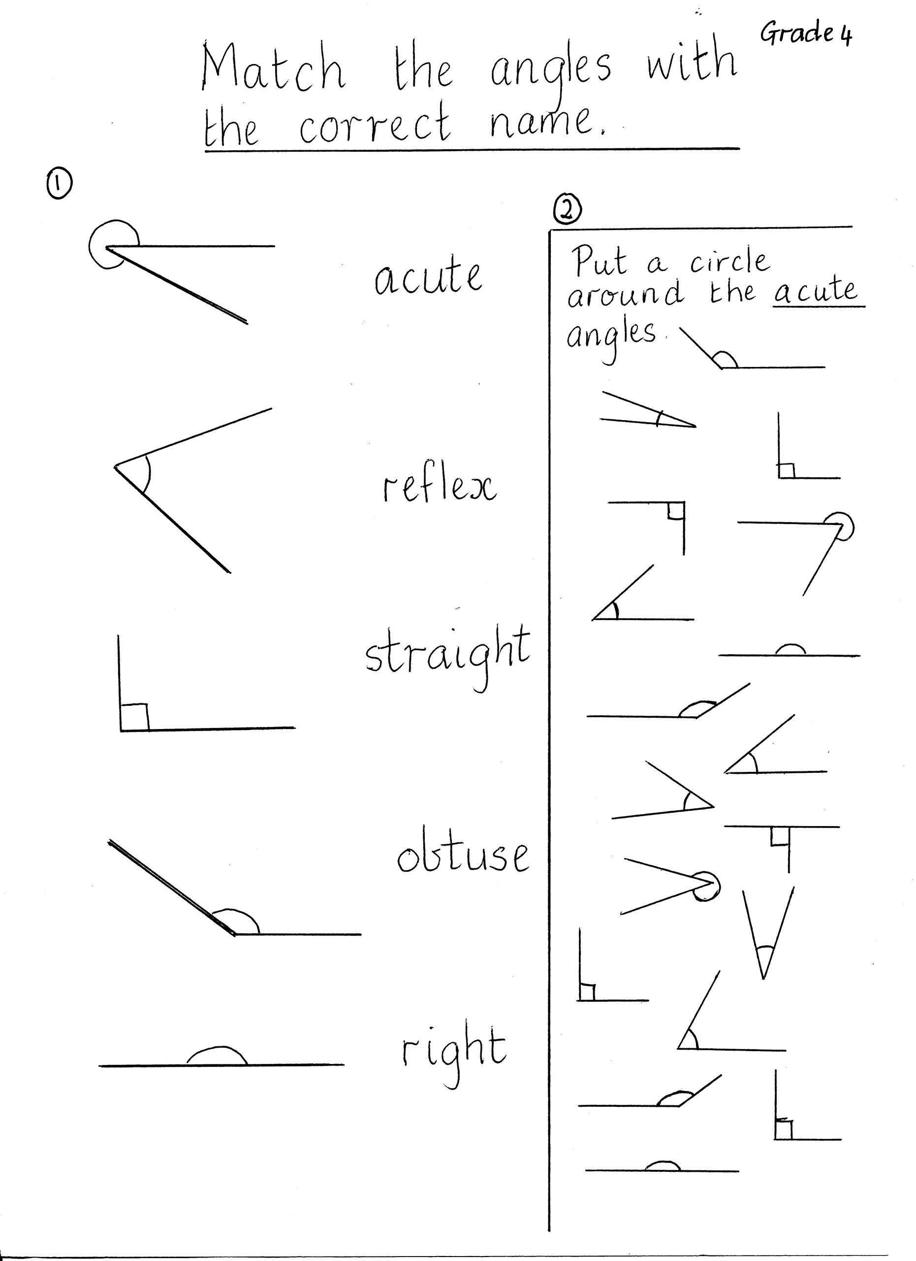 “Factors and Fractions”, Maths Grade 4 – Tutoring Primary